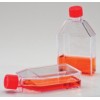 75cm Cell Culture Flasks
